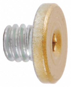 LCN 4040SE-31 BRASS Brass,  Cover Screw